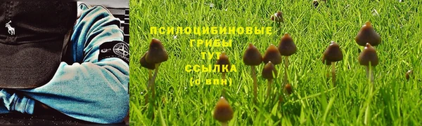 apvp Баксан