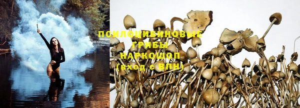 прущие крисы Балабаново